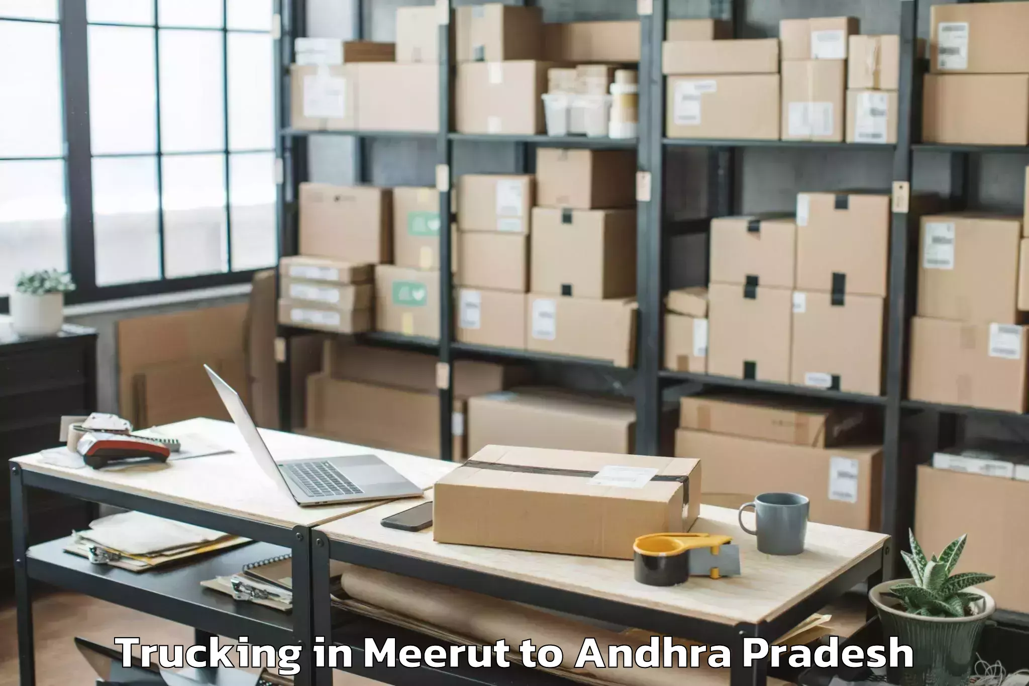 Leading Meerut to Pulicherla Trucking Provider